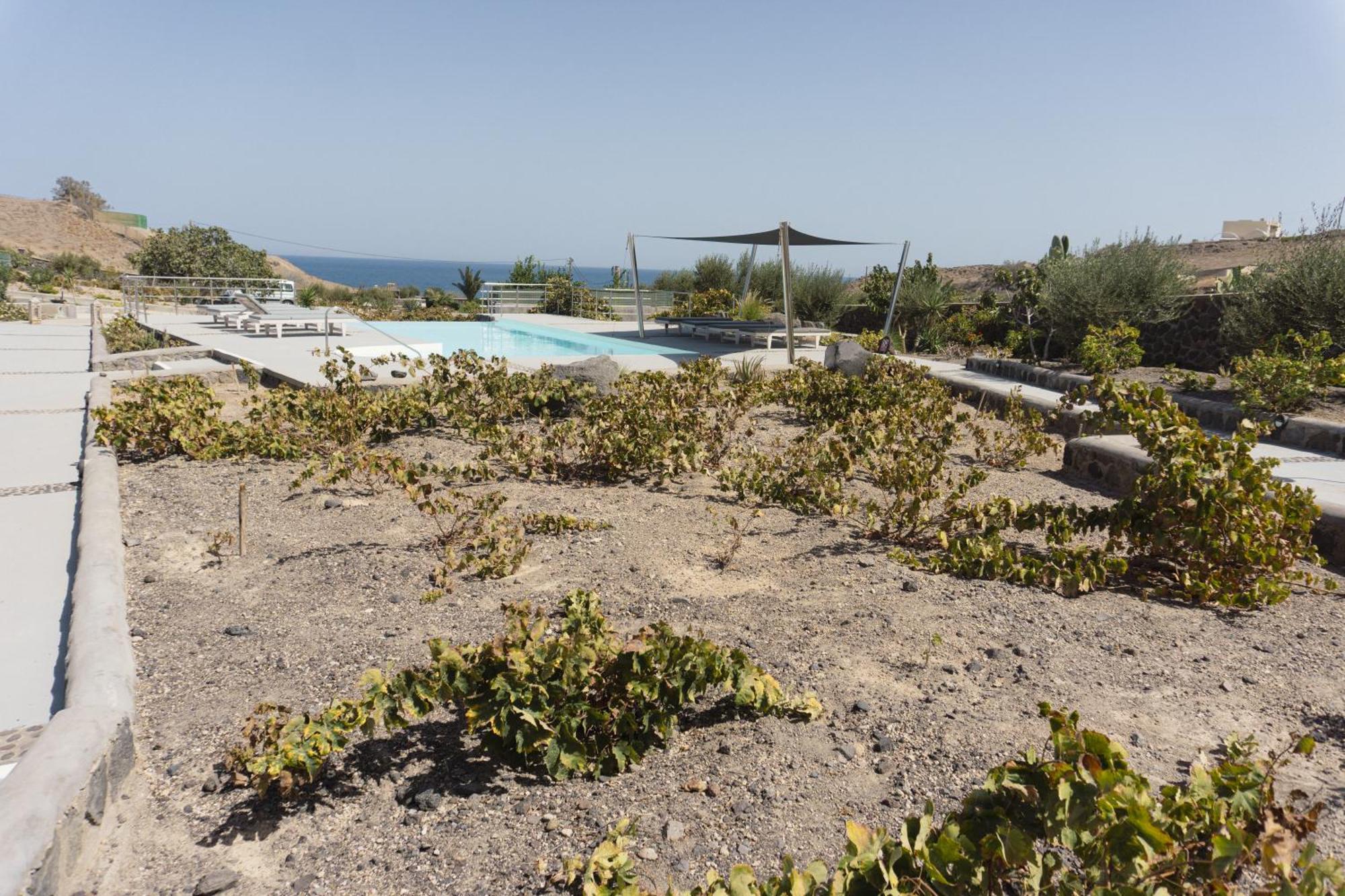 Villas Scirocco Firá Buitenkant foto